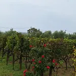 Prázdninový dům Arbor Countryside Oasis