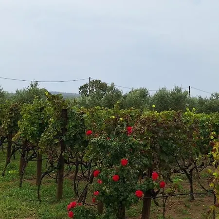 בית נופש Arbor Countryside Oasis