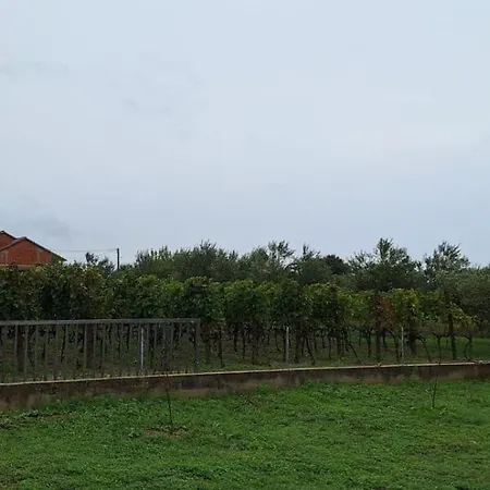 Arbor Countryside Oasis * ביוגראד נה מורו