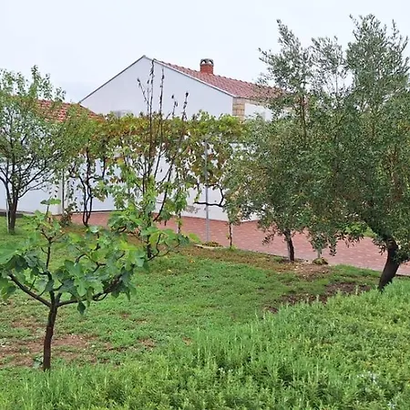 Arbor Countryside Oasis * ביוגראד נה מורו
