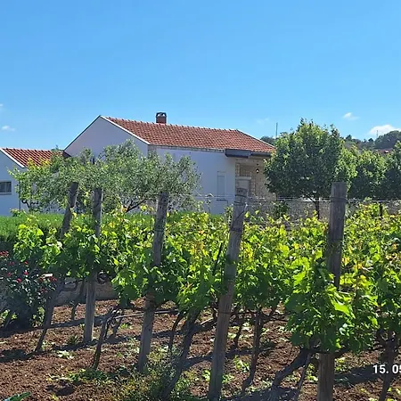 Feriehus Arbor Countryside Oasis Biograd Na Moru