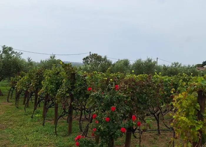 Feriehus Arbor Countryside Oasis
