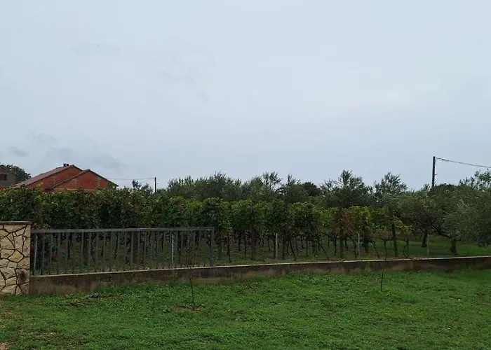 Arbor Countryside Oasis * Biograd Na Moru