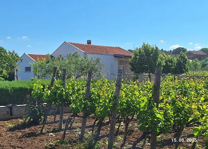 Feriehus Arbor Countryside Oasis Biograd Na Moru
